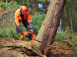 Mulching Services in Brownsville, PA